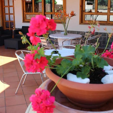 B&B La Vigna Lamezia Terme Exteriér fotografie