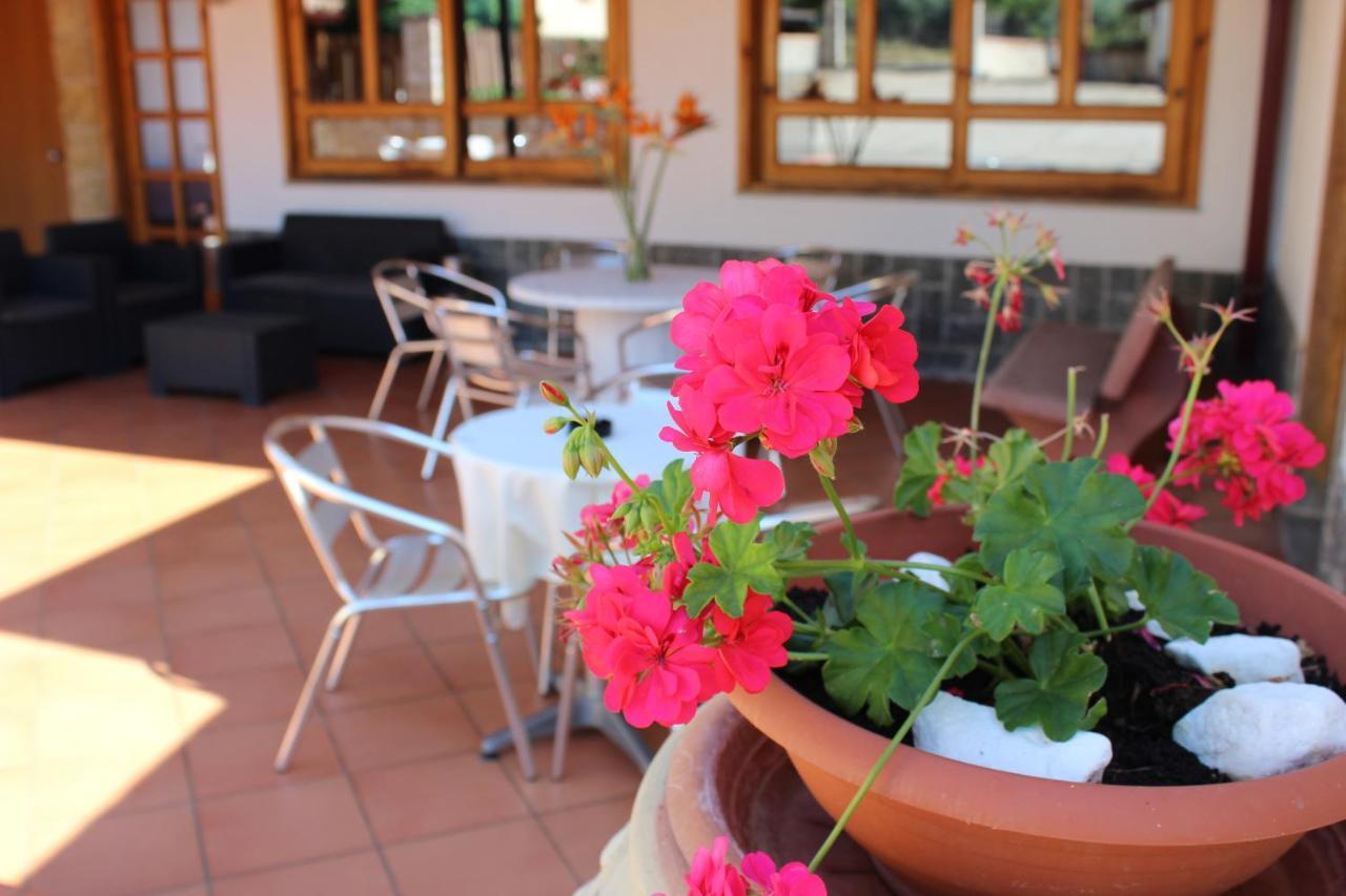 B&B La Vigna Lamezia Terme Exteriér fotografie