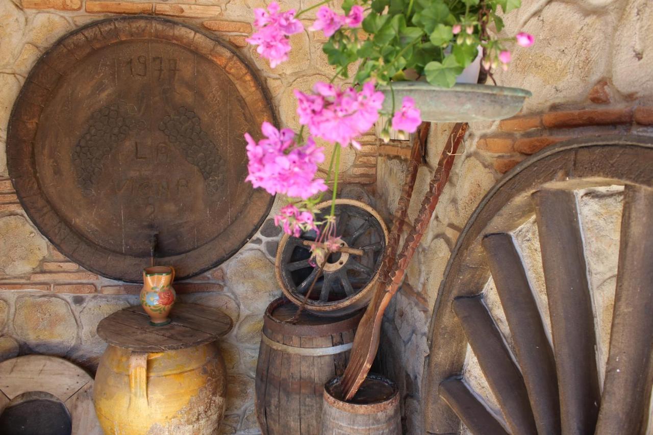 B&B La Vigna Lamezia Terme Exteriér fotografie