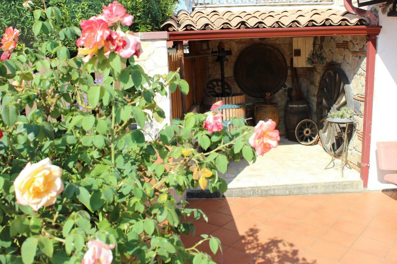 B&B La Vigna Lamezia Terme Exteriér fotografie