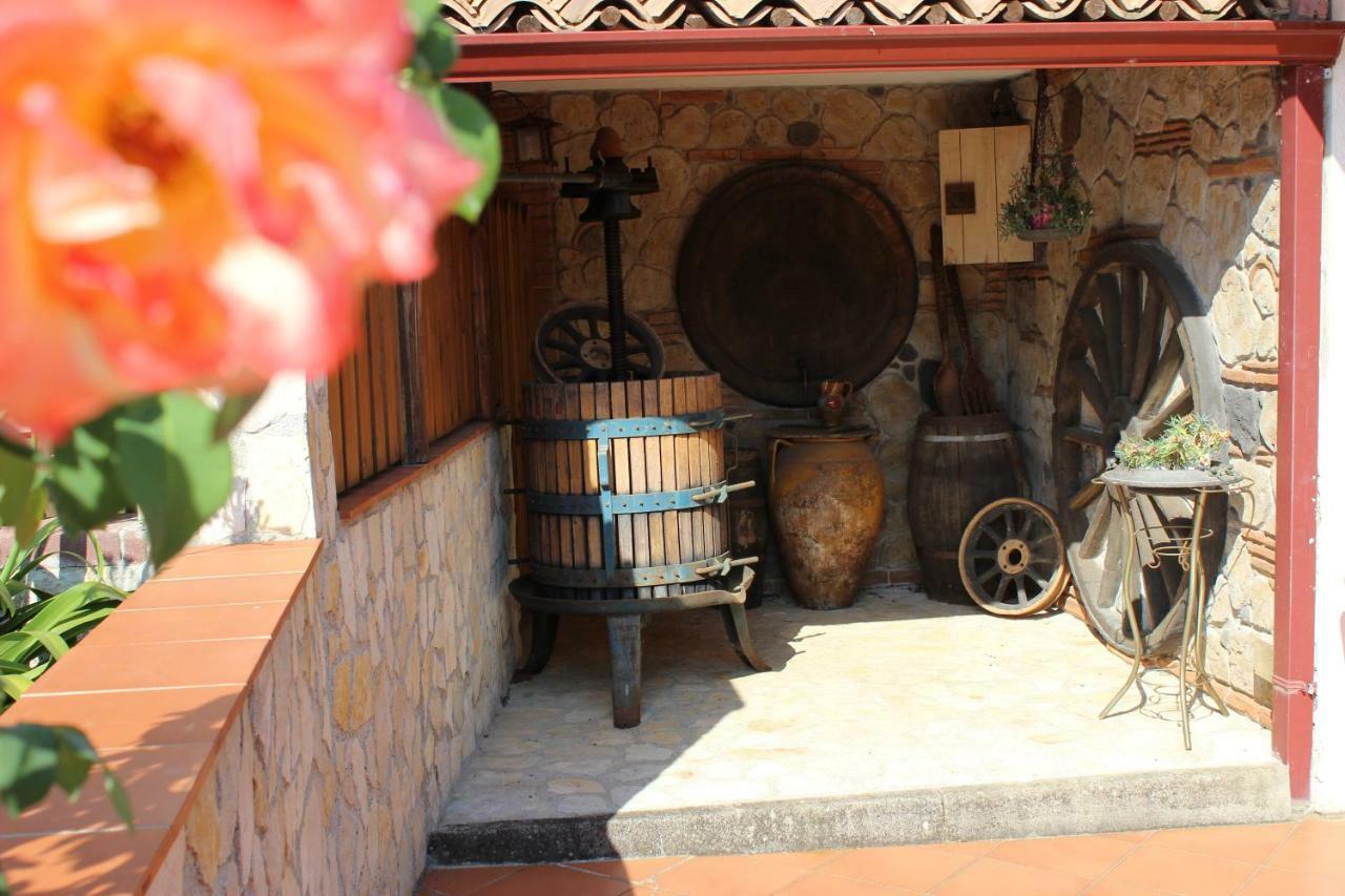 B&B La Vigna Lamezia Terme Exteriér fotografie