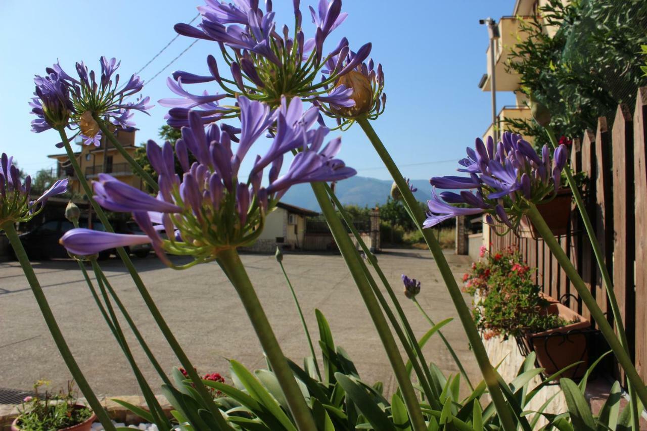 B&B La Vigna Lamezia Terme Exteriér fotografie